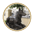 Памятник фронтовой собаке Памятник фронтовой собаке