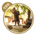 Памятник тигрятам с ёжиком Памятник тигрятам с ёжиком